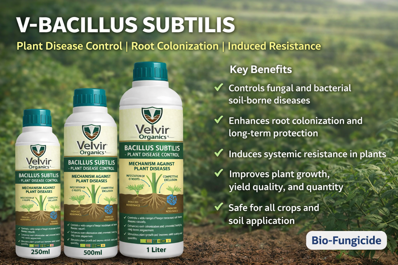 Bacillus subtilises