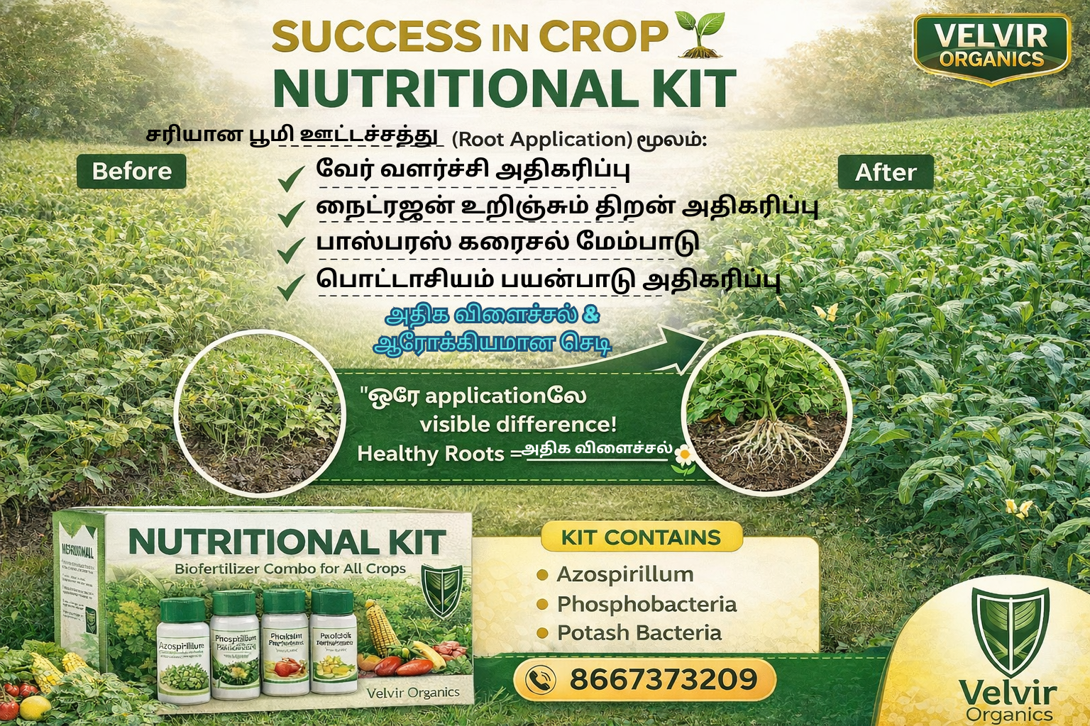 Nutritional Kit ( Big )