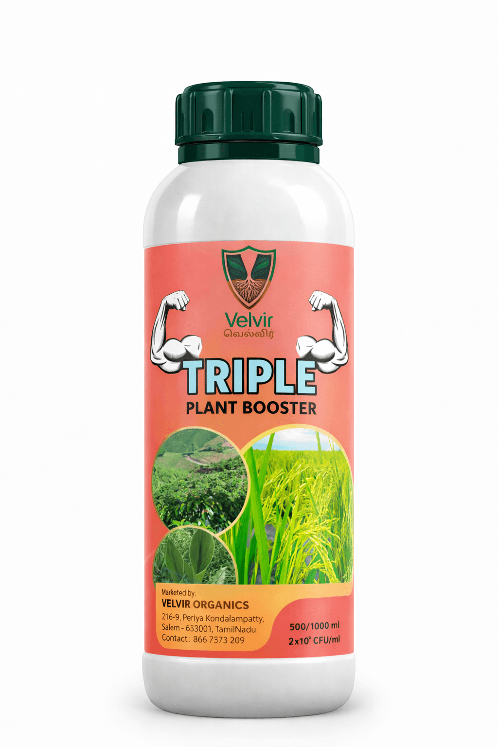 TRIPLE