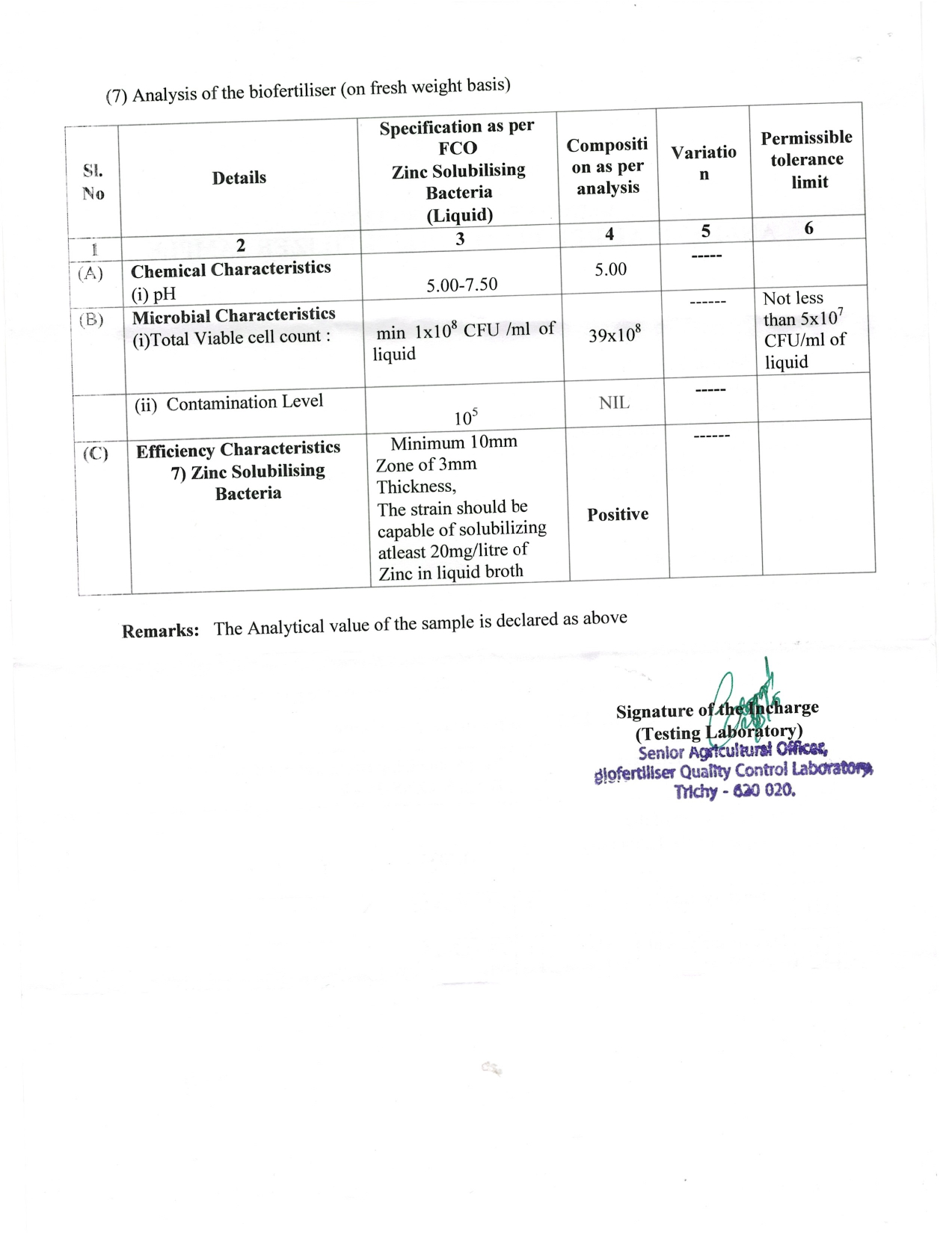 grade-wise-analysis-report-6