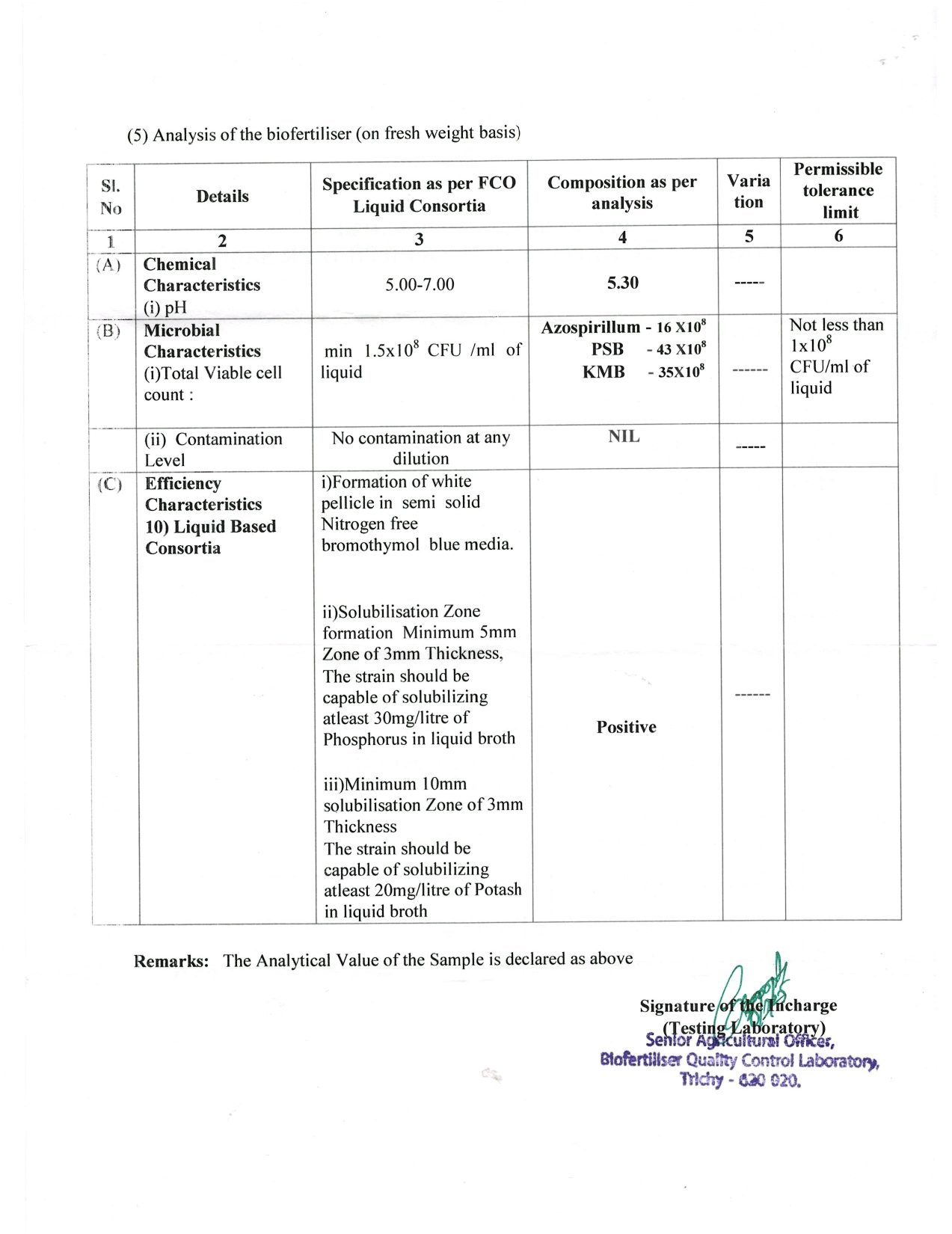 grade-wise-analysis-report-8